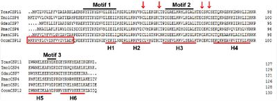 OcomCSP12, a Chemosensory Protein Expressed Specifically by Ovary, Mediates Reproduction in Ophraella communa (Coleoptera: Chrysomelidae)